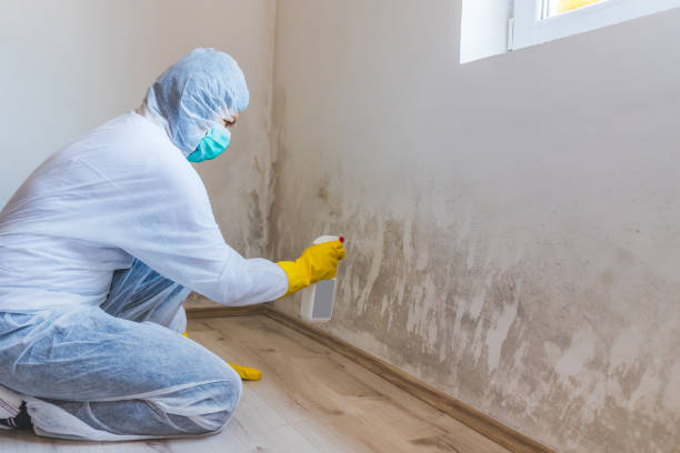 Hvac And Air Duct Mold Remediation inspection of HVAC system in Oceanside